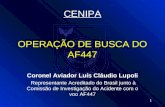 1 OPERAÇÃO DE BUSCA DO AF447 Coronel Aviador Luís Cláudio Lupoli Representante Acreditado do Brasil junto à Comissão de Investigação do Acidente com o.