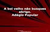 Www.4tons.com Pr. Marcelo Augusto de Carvalho 1 A boi velho não busques abrigo. Adágio Popular.