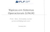 Tópicos em Sistemas Operacionais (LINUX) Prof:. Msc. Arimatéia Junior juniorcs09@gmail.com Fortaleza-2011.