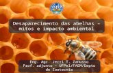 Desaparecimento das abelhas – mitos e impacto ambiental Eng. Agr. Jerri T. Zanusso Prof. adjunto – UFPel/FAEM/Depto de Zootecnia Eng. Agr. Jerri T. Zanusso.