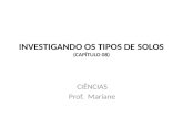 INVESTIGANDO OS TIPOS DE SOLOS (CAPÍTULO 08) CIÊNCIAS Prof. Mariane.