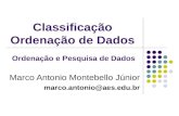 Classificação Ordenação de Dados Marco Antonio Montebello Júnior marco.antonio@aes.edu.br Ordenação e Pesquisa de Dados.
