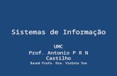 Sistemas de Informação UMC Prof. Antonio P R N Castilho Based Profa. Dra. Violeta Sun.