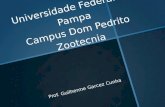Universidade Federal do Pampa Campus Dom Pedrito Zootecnia Prof. Guilherme Garcez Cunha.