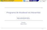 1 Programa de Biodiesel do Maranhão MA-BIODIESEL Brasília Março 2005.