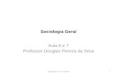 Sociologia Geral Aula 6 e 7 Professor Douglas Pereira da Silva Sociologia A 6 e 7 Prof DPS1.
