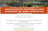 Geraldo Magela Fernandes Orientador: Dr. Paulo R. Margotto Monografia de conclusão da residência médica em Neonatologia Secretaria de Estado de Saúde do.