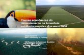 Causas econômicas do desmatamento na Amazônia: evidência empírica dos anos 2000 VIII Encontro da Sociedade Brasileira de Economia Ecológica Cuiabá, 05/08/2009.