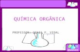 Química PROFESSOR: DENIS P. VIDAL QUÍMICA ORGÂNICA.