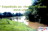 “ Expedição ao ribeirão Tabuão zona urbana”. Qual a situação do ribeirão Tabuão na cidade de Lorena? Problema.