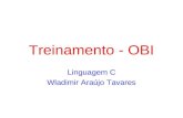 Treinamento - OBI Linguagem C Wladimir Araújo Tavares.