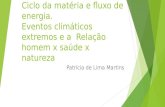 Ciclo da matéria e fluxo de energia. Eventos climáticos extremos e a Relação homem x saúde x natureza Patrícia de Lima Martins.