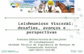 Leishmaniose Visceral: desafios, avanços e perspectivas Francisco Edilson Ferreira de Lima Júnior GT-Leishmanioses Unidade Técnica de Vigilância de Doenças.