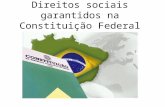 Direitos sociais garantidos na Constituição Federal do Brasil.