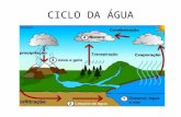 CICLO DA ÁGUA. 1. Questão 13 Assinale a(s) alternativa(s) correta(s) a respeito dos ciclos biogeoquímicos da água, do carbono, do nitrogênio,