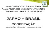 AGRONEGÓCIO BRASILEIRO ALAVANCA DO DESENVOLVIMENTO OPORTUNIDADES E DESAFIOS JAPÃO + BRASIL COOPERAÇÃO AVALIAÇÕES TÉCNICAS SETEMBRO DE 2015.