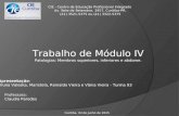 CIE - Centro de Educação Profissional Integrado Av. Sete de Setembro, 3457, Curitiba-PR. (41) 3521-5375 ou (41) 3322-5375 Trabalho de Módulo IV Patologias: