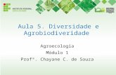 Aula 5. Diversidade e Agrobiodiveridade Agroecologia Módulo 1 Profª. Chayane C. de Souza.