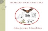 PROFILAXIA DA RAIVA HUMANA Juliane Berenguer de Souza Peixoto.
