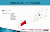 Análise do Miolo de Salvador / Vazios Urbanos Região X – Cajazeiras VIII e Adjacências Ufba – atelier V 2009.1 – André, Edilene, Josane, Pedro, Sivalnice.