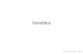Genética Prof. Rafael Rosolen T Zafred. Revisão Nomenclatura: Genótipo x Fenótipo Características GENÉTICAS Características FÍSICAS DOIS alelo Genótipo: