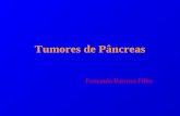 Tumores de Pâncreas Fernando Barroso Filho. Câncer de Pâncreas 2 o lugar entre os tumores do TGI 1 o em agressividade, gravidade, baixos índices de diagnóstico.