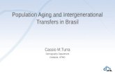 Population Aging and Intergenerational Transfers in Brasil Cassio M.Turra Demography Department Cedeplar, UFMG.