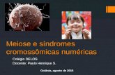 Meiose e síndromes cromossômicas numéricas Colégio DELOS Docente: Paulo Henrique S. Goiânia, agosto de 2015.