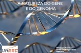 A NATUREZA DO GENE E DO GENOMA Biologia Celular Prof. Dr. Rogaciano Batista.
