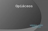 Opiáceos. Opióides endógenos  Endofirnas – hipófise, intestino delgado e placenta  Encefalinas- corno dorsal da medula,tronco encefálico, tálamo, hipotálamo,