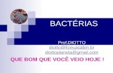 BACTÉRIAS Prof.DIOTTO diotto@liceuasabin.br diottoplaneta@gmail.com QUE BOM QUE VOCÊ VEIO HOJE !