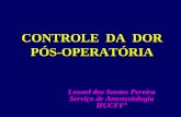 CONTROLE DA DOR PÓS-OPERATÓRIA Leonel dos Santos Pereira Serviço de Anestesiologia HUCFFº.