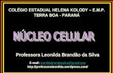 COLÉGIO ESTADUAL HELENA KOLODY – E.M.P. TERRA BOA - PARANÁ Professora Leonilda Brandão da Silva E-mail: leonildabrandaosilva@gmail.com