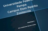 Universidade Federal do Pampa Campus Dom Pedrito Zootecnia Histologia II Prof. Guilherme Garcez Cunha.