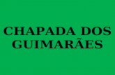 CHAPADA DOS GUIMARÃES O Parque Nacional da Chapada dos Guimarães é uma unidade de conservação brasileira, situada no estado de Mato Grosso, nos municípios.