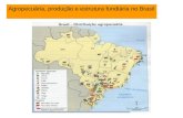 Agropecuária, produção e estrutura fundiária no Brasil.
