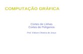 COMPUTAÇÃO GRÁFICA Cortes de Linhas Cortes de Polígonos Prof. Edison Oliveira de Jesus.