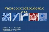 Paracoccidioidomicose Tatiana R. S. Assunção Mestranda em Patologia Experimental – UEL.