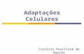 Adaptações Celulares Caroline Pouillard de Aquino.