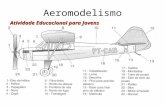 Aeromodelismo Atividade Educacional para Jovens. History O primeiro avião movido a elástico é creditado ao francês entusiasta da aviação Alphonse Penaud.