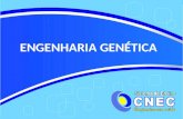 ENGENHARIA GENÉTICA. FERRAMENTAS Enzimas: de restrição, DNA-ligase, DNA-polimerase, transcriptase Vetores: plasmídeos, vírus.