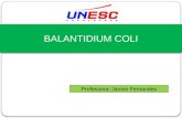 BALANTIDIUM COLI Professora: Janine Fernandes. Gênero: Balatidium Espécie: Balantidium coli Balantidium coli.