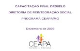 CAPACITAÇÃO FINAL DRS/IELO DIRETORIA DE REINTEGRAÇÃO SOCIAL PROGRAMA CEAPA/MG Dezembro de 2009.