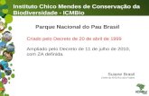 Instituto Chico Mendes de Conservação da Biodiversidade - ICMBio Suiane Brasil Chefe do RVS Rio dos Frades Parque Nacional do Pau Brasil Criado pelo Decreto.
