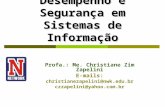 Aula 251 Desempenho e Segurança em Sistemas de Informação Profa.: Me. Christiane Zim Zapelini E-mails: christianezapelini@nwk.edu.br czzapelini@yahoo.com.br.