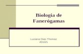 Biologia de Faner³gamas Luciana Dias Thomaz 2010/1
