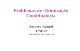 Problemas de Otimização Combinatória Socorro Rangel UNESP São José do Rio Preto - SP.