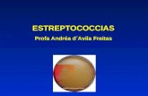 ESTREPTOCOCCIAS Profa Andréa d´Avila Freitas. ESTREPTOCOCCIAS Streptococcus – cocos Gram-positivos ovóides dispostos aos pares ou em cadeias Streptococcus.
