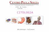 CITOLOGIA ETEC de Praia Grande Microbiologia – Profª Janara.