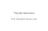 Tecido Nervoso Prof. Claudinei Sousa Lima. Tecido Nervoso Compreende mais de um trilhão de neurônios com múltiplas interconexões, que forma um sistema.